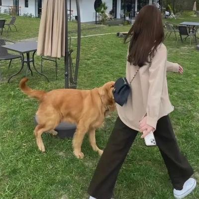女骑士