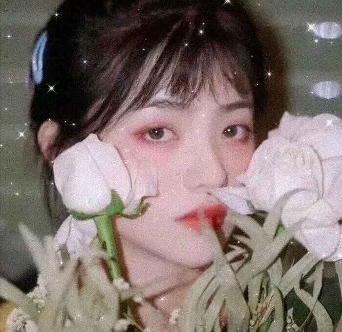 蛊惑仔放暑假